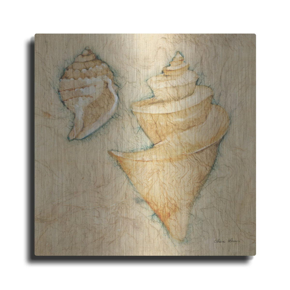 'Shells 2' by Cheri Blum – Metal Wall Art