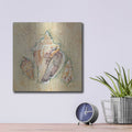 'Shells 3' by Cheri Blum – Metal Wall Art, 12x12 room view