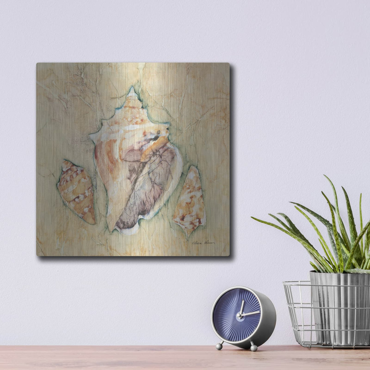 'Shells 3' by Cheri Blum – Metal Wall Art, 12x12 room view