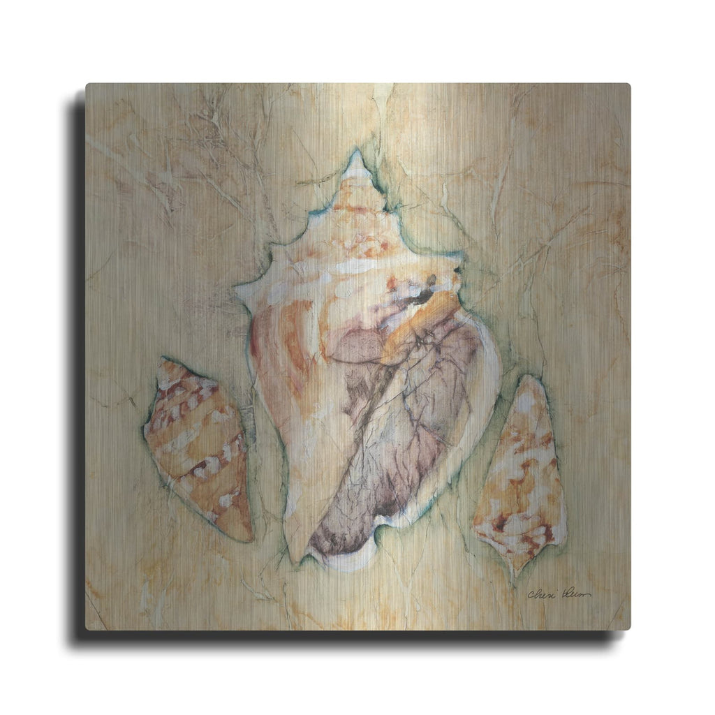 'Shells 3' by Cheri Blum – Metal Wall Art
