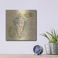 'Shells 4' by Cheri Blum – Metal Wall Art, 12x12 room view