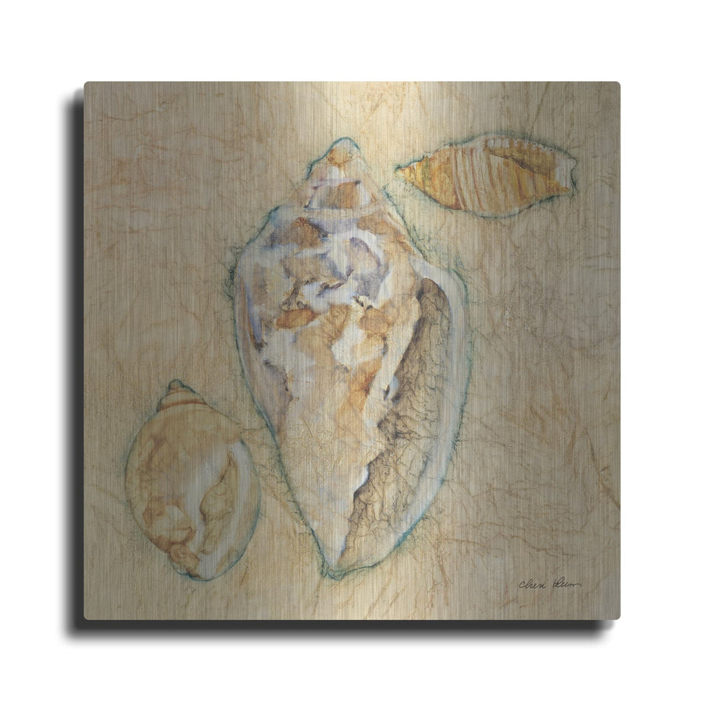 'Shells 4' by Cheri Blum – Metal Wall Art