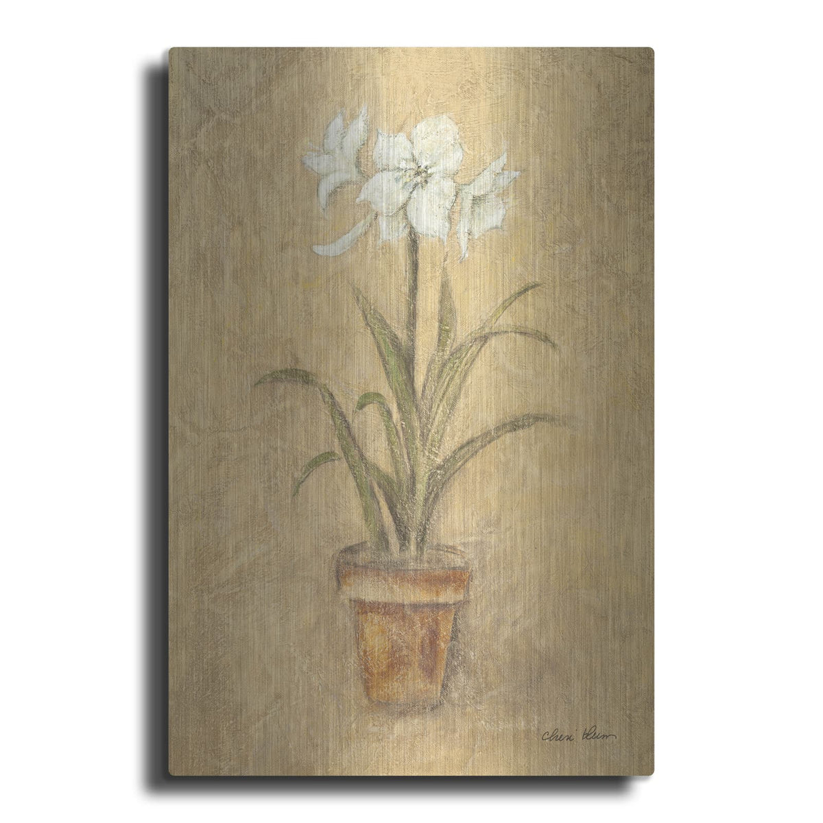 'White Amaryllis 1' by Cheri Blum – Metal Wall Art