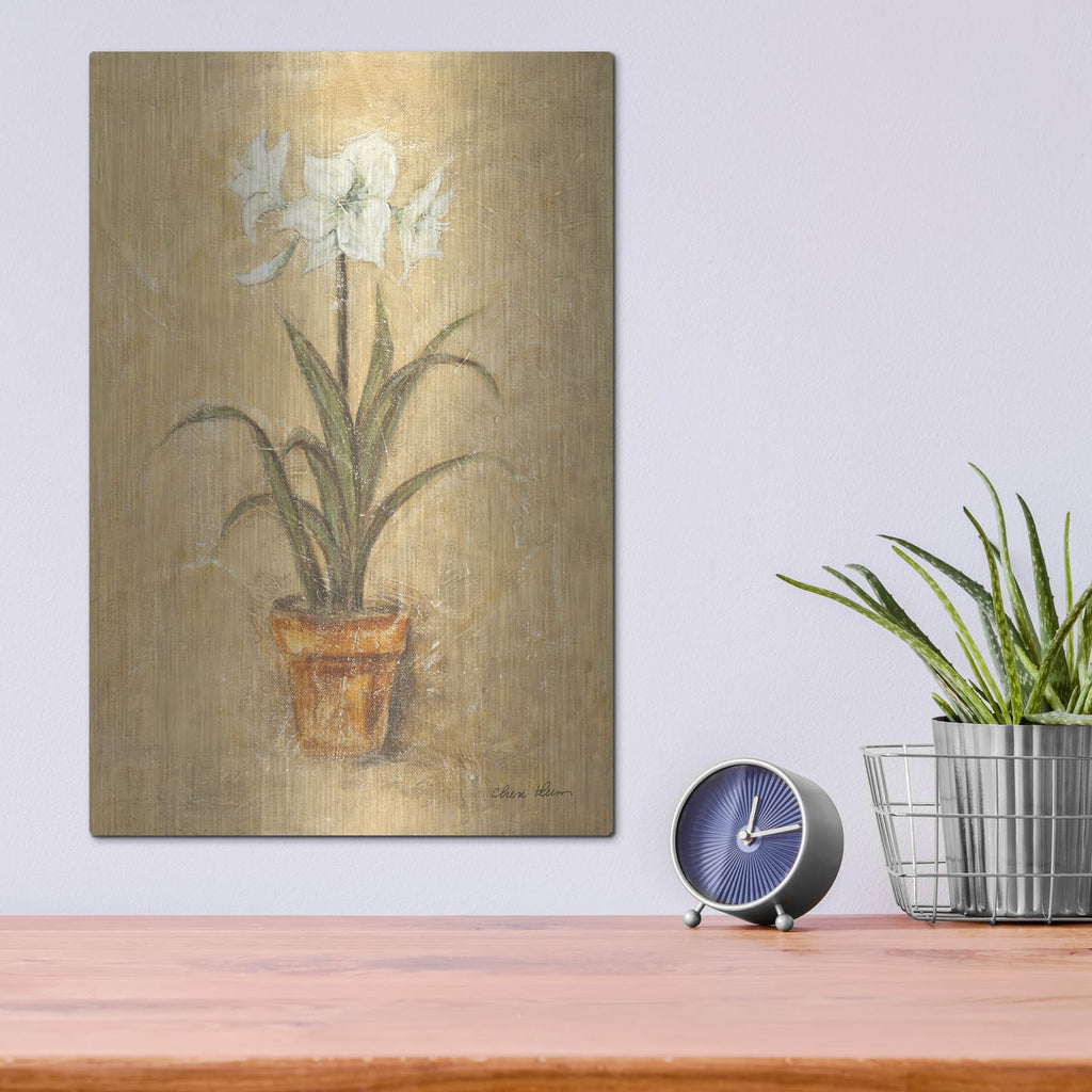 'White Amaryllis 2' by Cheri Blum – Metal Wall Art, 12x16 room view