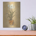 'White Amaryllis 2' by Cheri Blum – Metal Wall Art, 12x16 room view