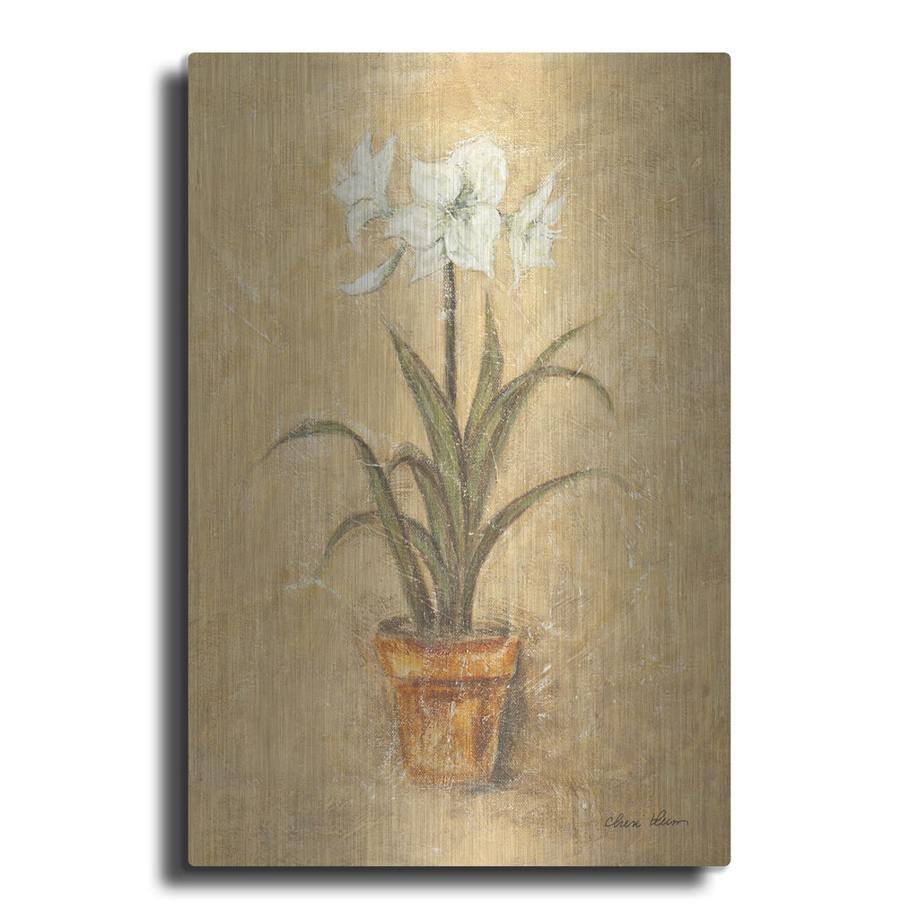 'White Amaryllis 2' by Cheri Blum – Metal Wall Art