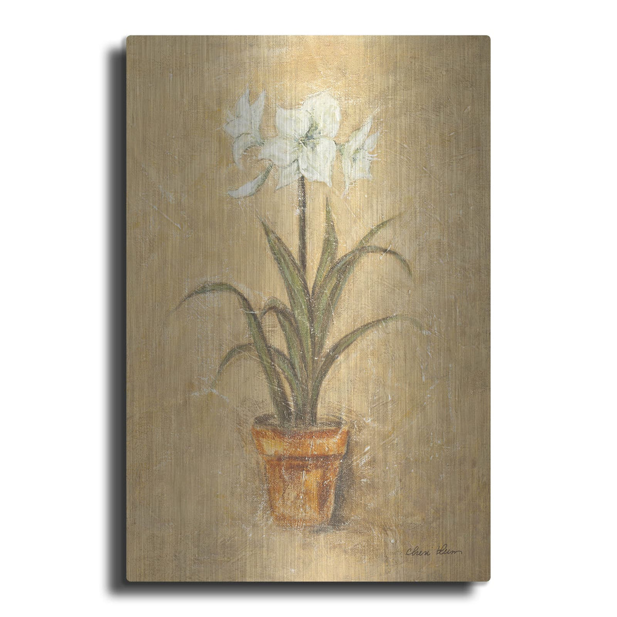 'White Amaryllis 2' by Cheri Blum – Metal Wall Art