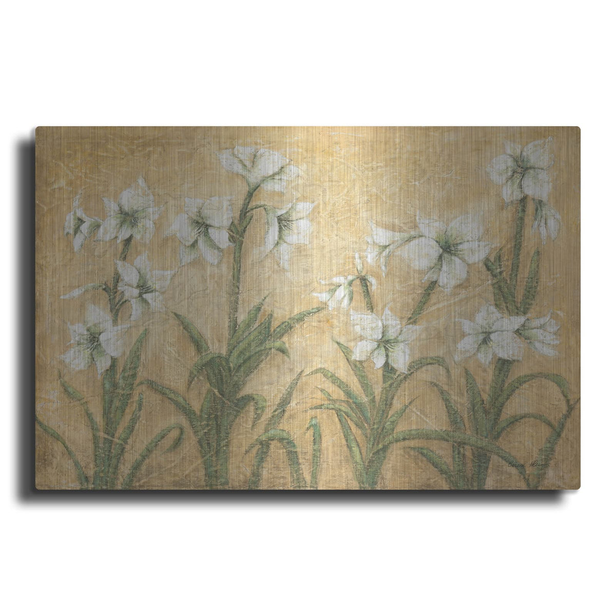 'White Amaryllis Garden' by Cheri Blum – Metal Wall Art