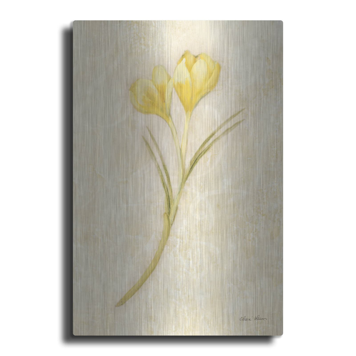 'Yellow Crocus Stem' by Cheri Blum – Metal Wall Art