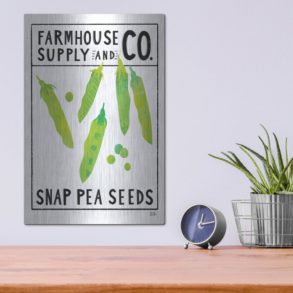 'Kitchen Garden Seed Packet 2' by Melissa Averinos – Metal Wall Art, 12x16 room view