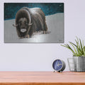 'Dressed for Winter' by Britt Hallowell – Metal Wall Art, 16x12 room view