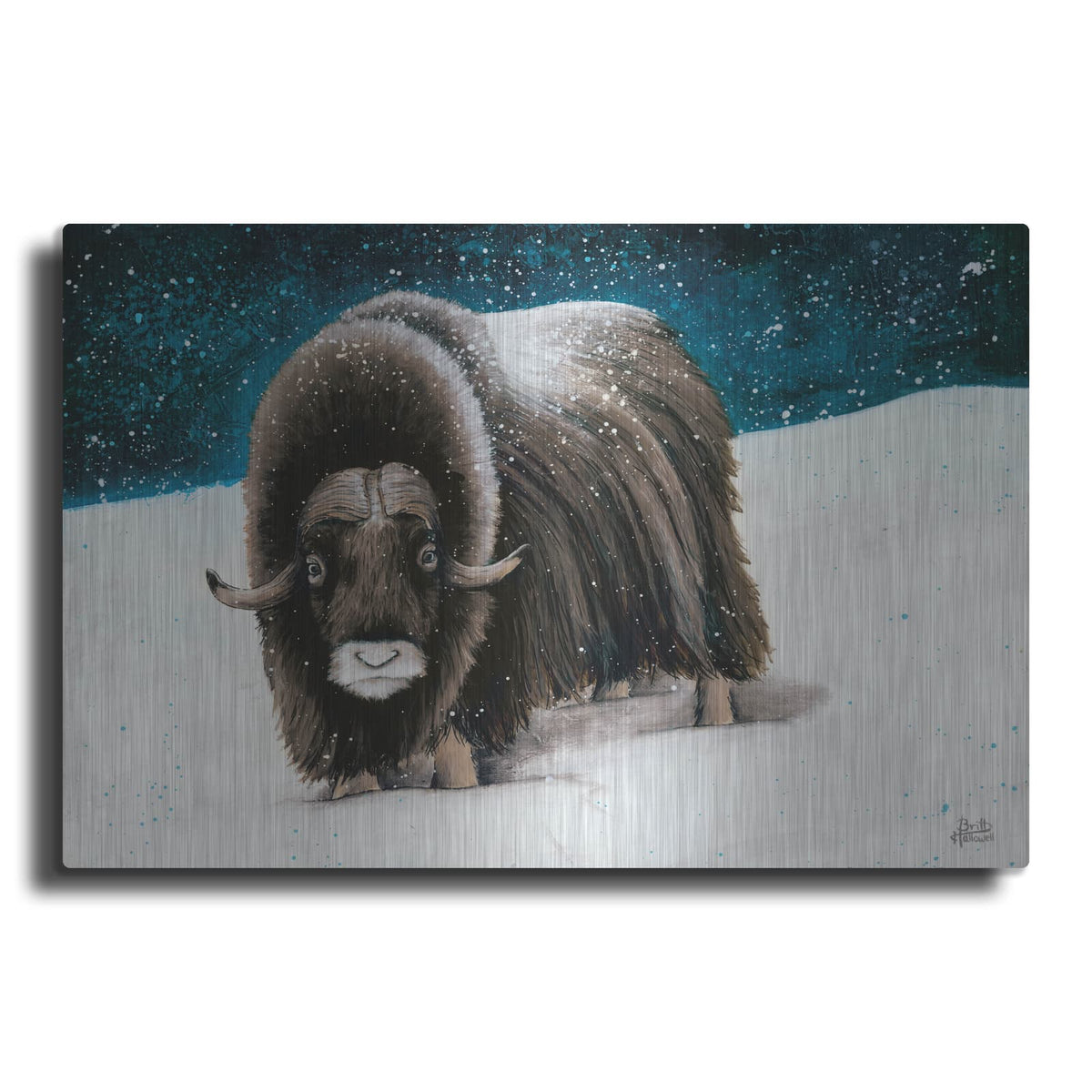 'Dressed for Winter' by Britt Hallowell – Metal Wall Art