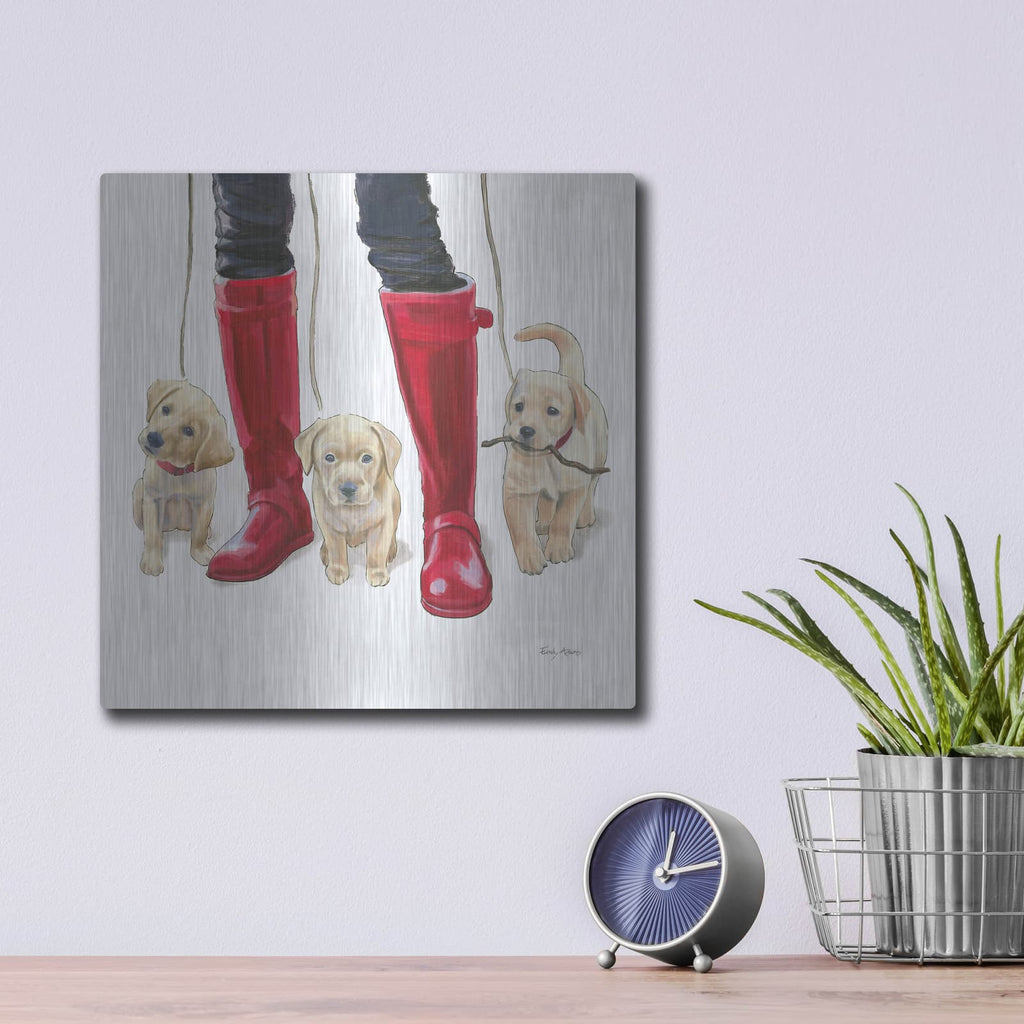 'Furry Fashion Friends 1' by Emily Adams – Metal Wall Art, 12x12 room view
