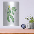 'Garden Delight 6' by Emily Adams – Metal Wall Art, 12x16 room view