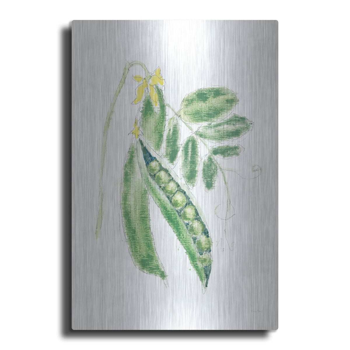 'Garden Delight 6' by Emily Adams – Metal Wall Art