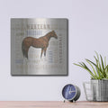 'Natural Charm 3' by Emily Adams – Metal Wall Art, 12x12 room view