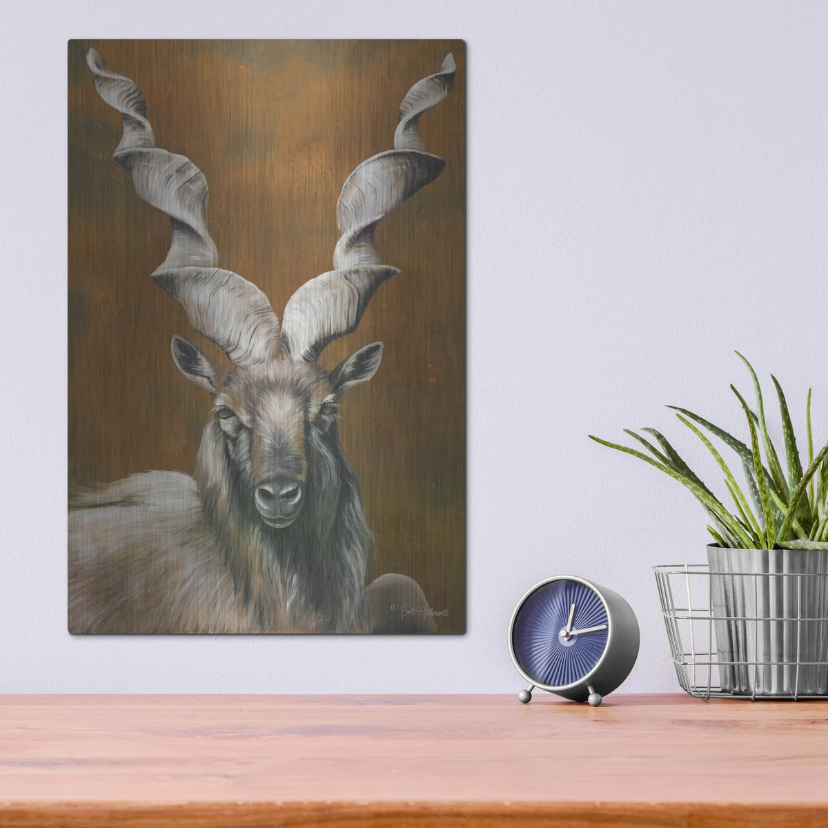 'Mighty Markhor' by Britt Hallowell – Metal Wall Art, 12x16 room view