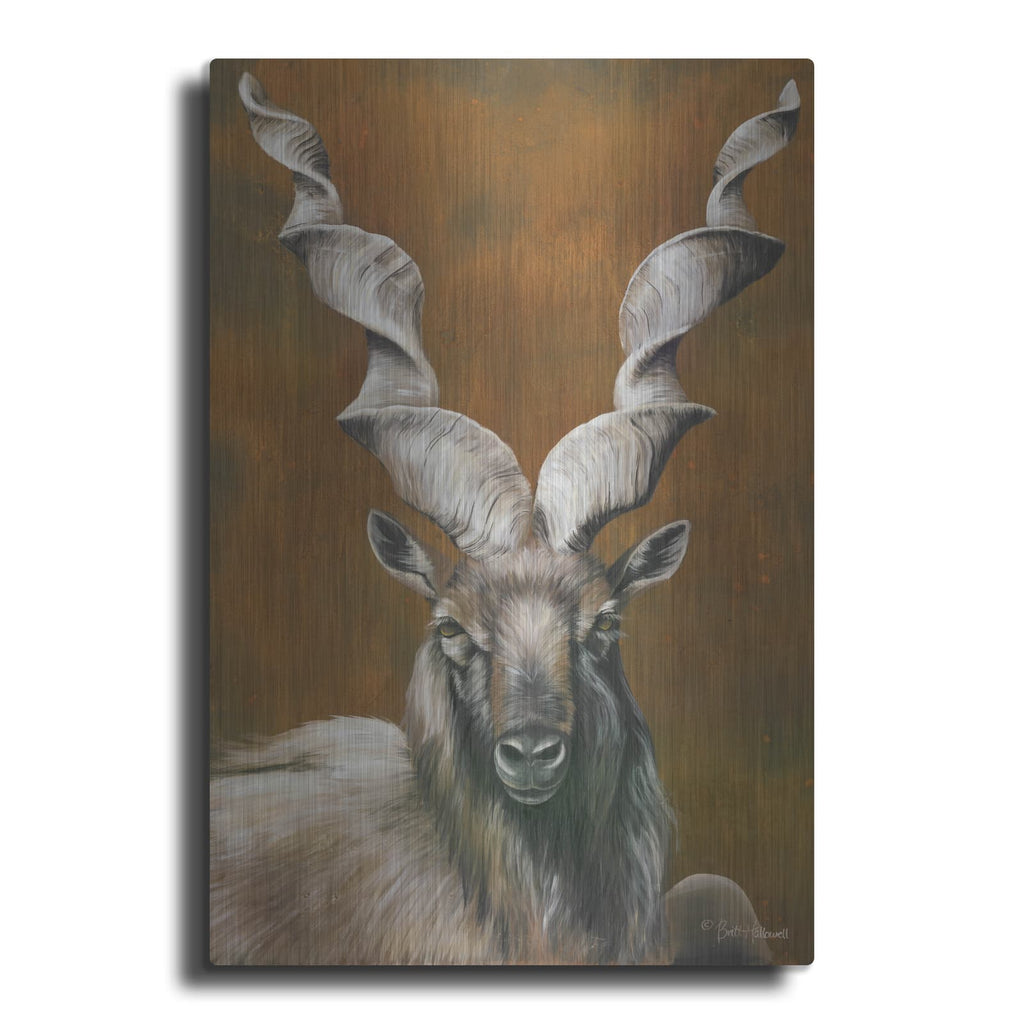 'Mighty Markhor' by Britt Hallowell – Metal Wall Art