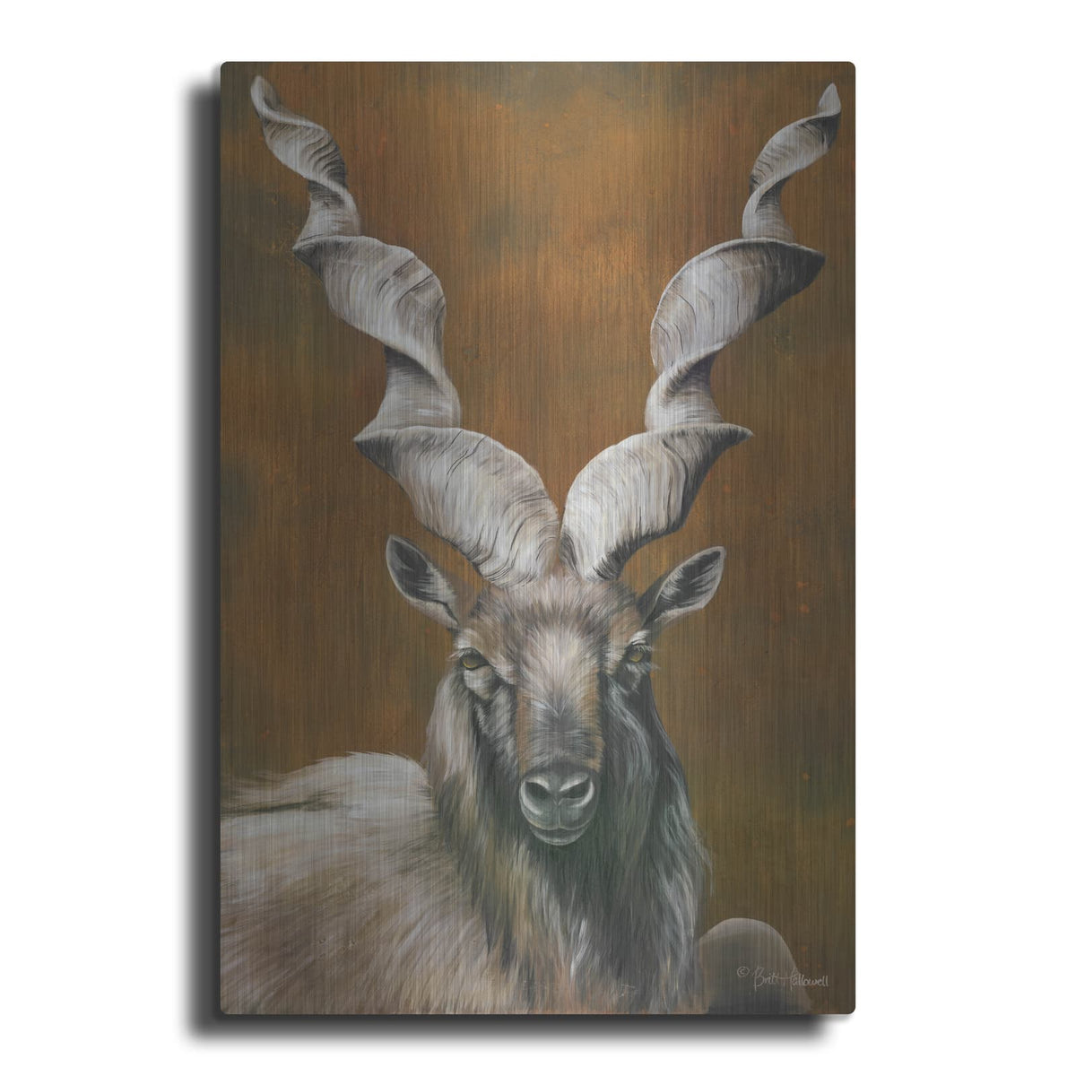 'Mighty Markhor' by Britt Hallowell – Metal Wall Art