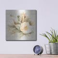 'Ivory Magnolia On Wood' by Albena Hristova – Metal Wall Art, 12x12 room view