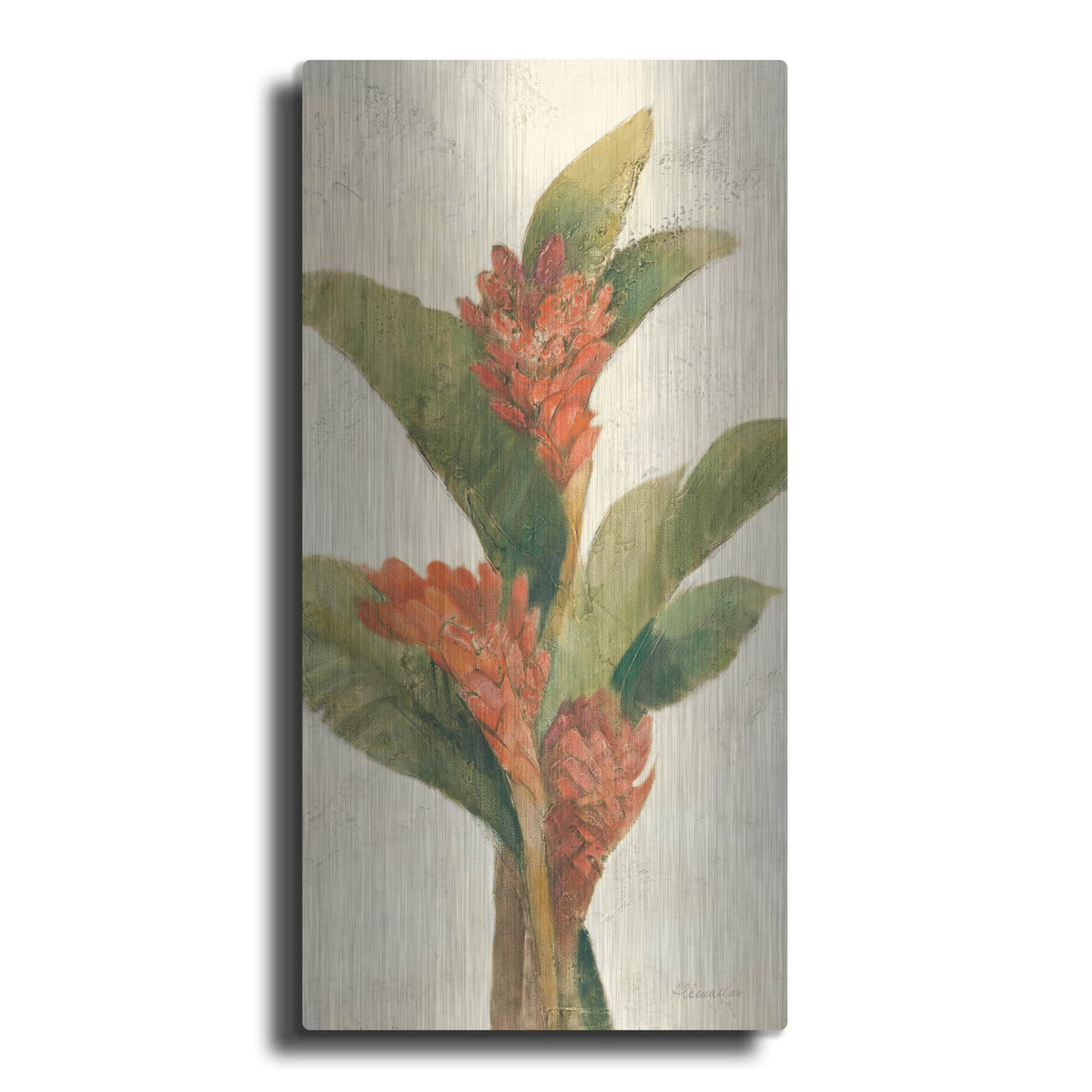 'Ginger Blossom On White' by Albena Hristova – Metal Wall Art