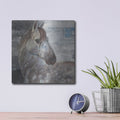 'Appaloosa' by Albena Hristova – Metal Wall Art, 12x12 room view