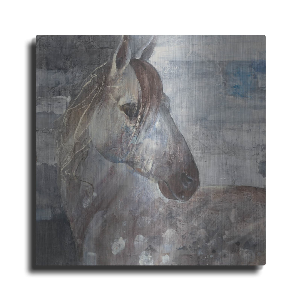 'Appaloosa' by Albena Hristova – Metal Wall Art