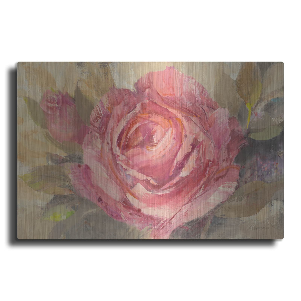 'June Roses 1' by Albena Hristova – Metal Wall Art