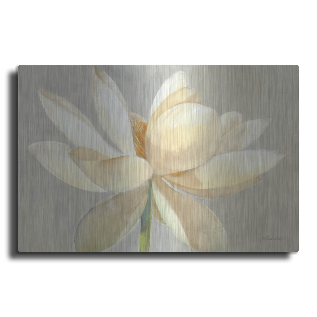 'Unfolding Light' by Albena Hristova – Metal Wall Art