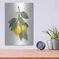'Lemon Branch 2' by Albena Hristova – Metal Wall Art, 12x16 room view