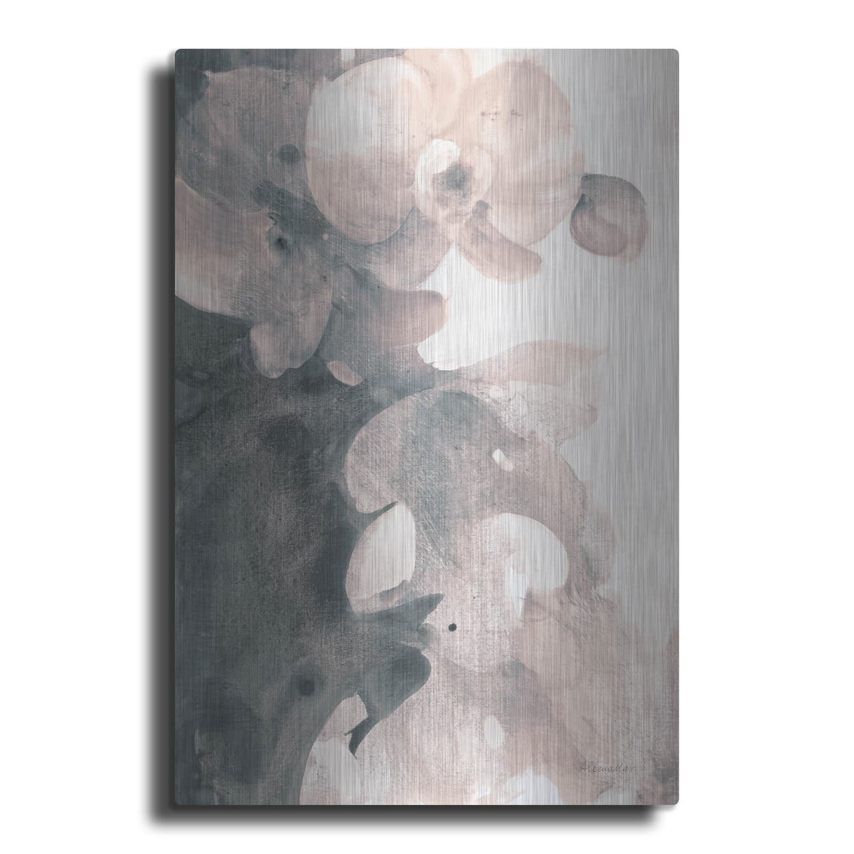 'Orchid Splendor 2 Blush' by Albena Hristova – Metal Wall Art