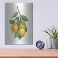 'Lemon Branch 3' by Albena Hristova – Metal Wall Art, 12x16 room view