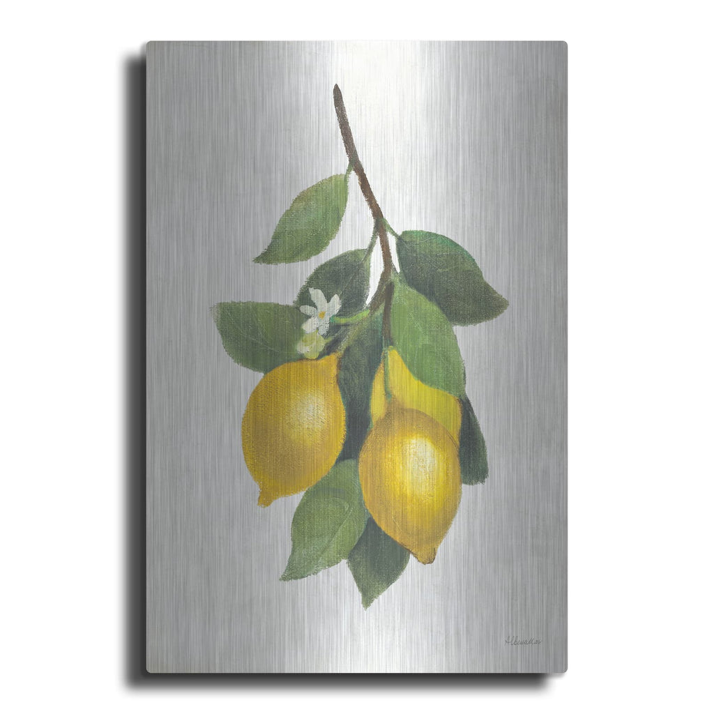 'Lemon Branch 3' by Albena Hristova – Metal Wall Art