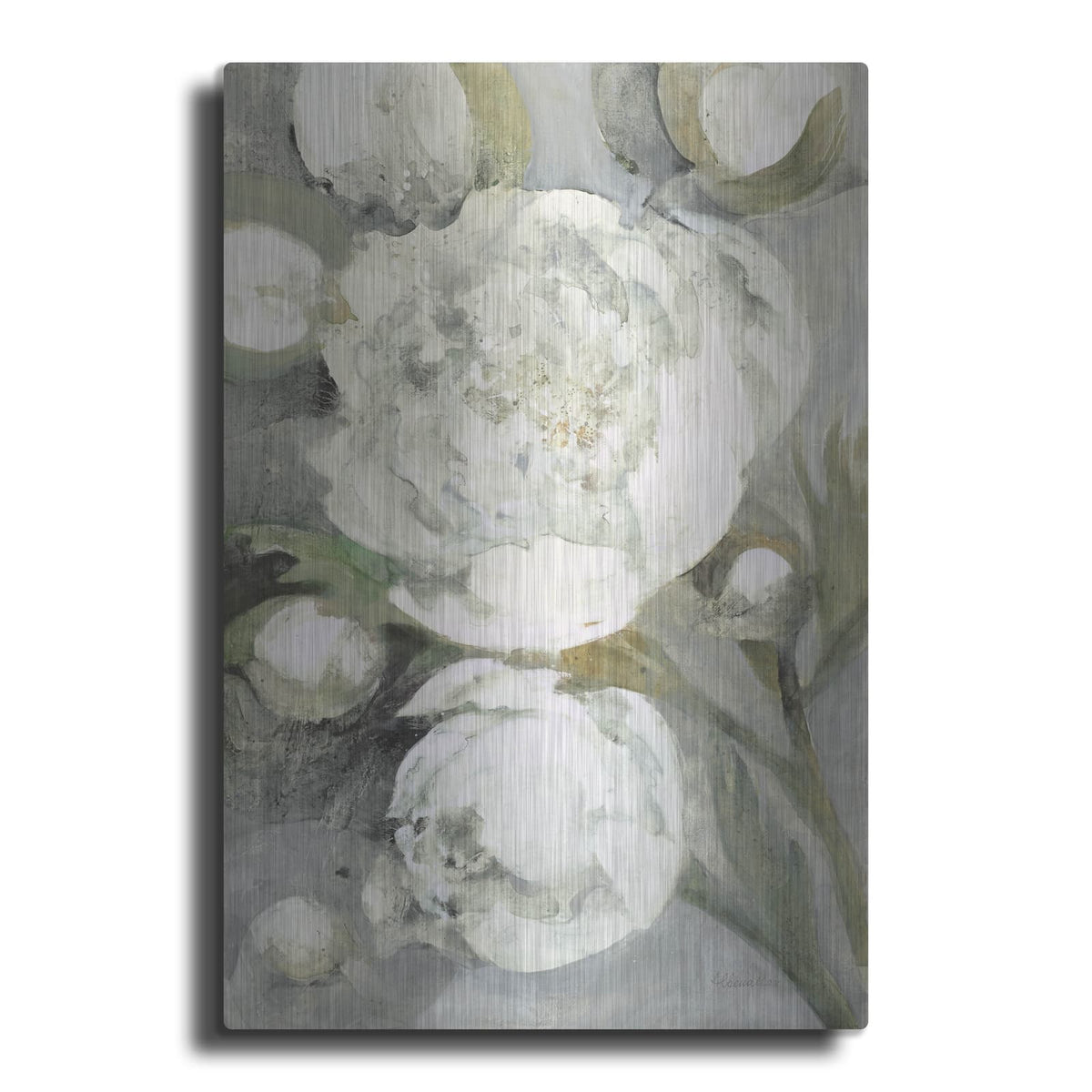 'Favorite White Peonies' by Albena Hristova – Metal Wall Art