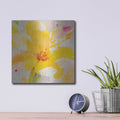'Bright Tulips 3' by Albena Hristova – Metal Wall Art, 12x12 room view