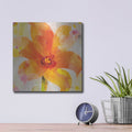'Bright Tulips 2' by Albena Hristova – Metal Wall Art, 12x12 room view