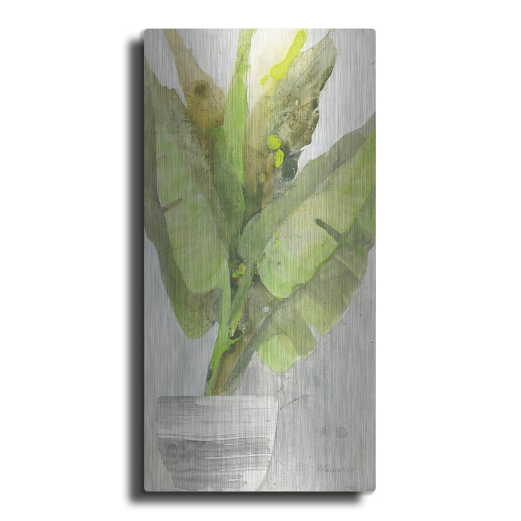 'Tropical Planter 2' by Albena Hristova – Metal Wall Art