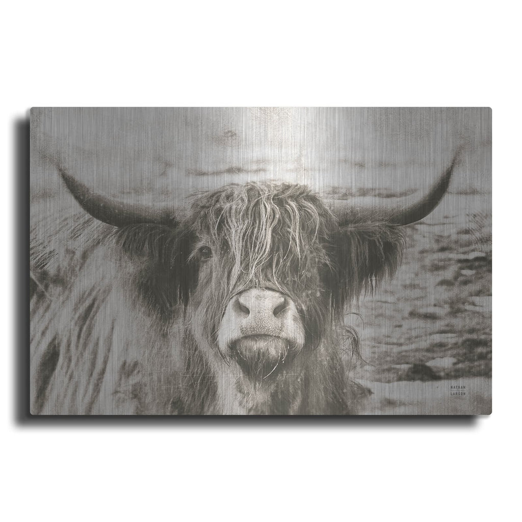 'You Have My Attention' by Nathan Larson – Metal Wall Art
