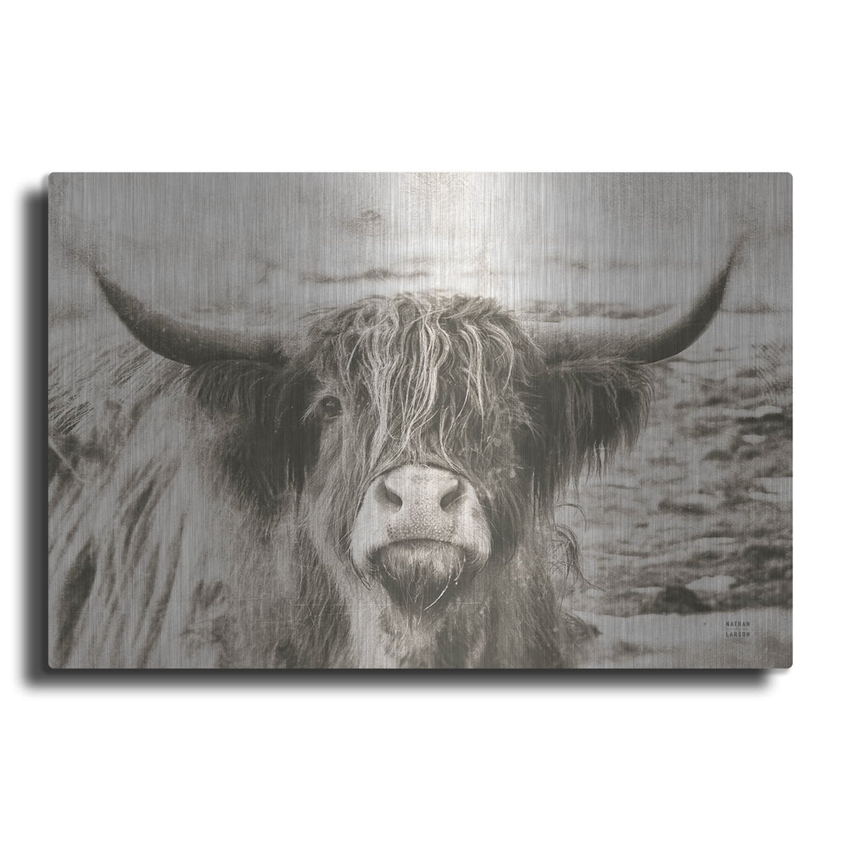 'You Have My Attention' by Nathan Larson – Metal Wall Art
