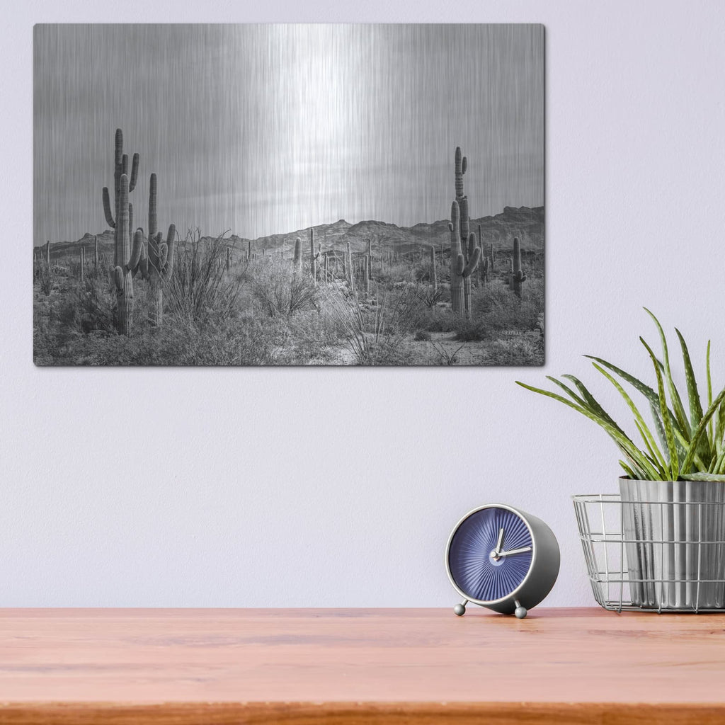 'Sonoran Wonderland Bw' by Nathan Larson – Metal Wall Art, 16x12 room view