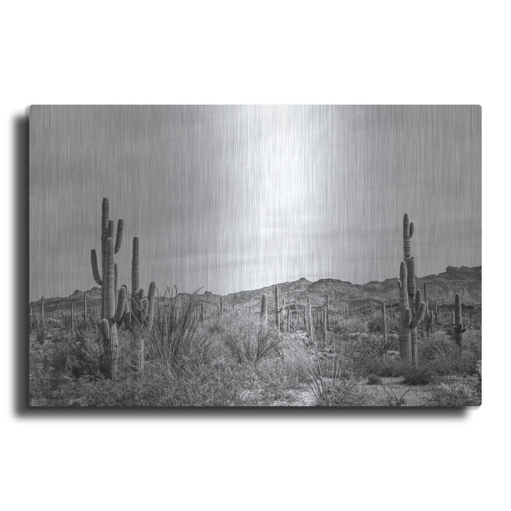 'Sonoran Wonderland Bw' by Nathan Larson – Metal Wall Art