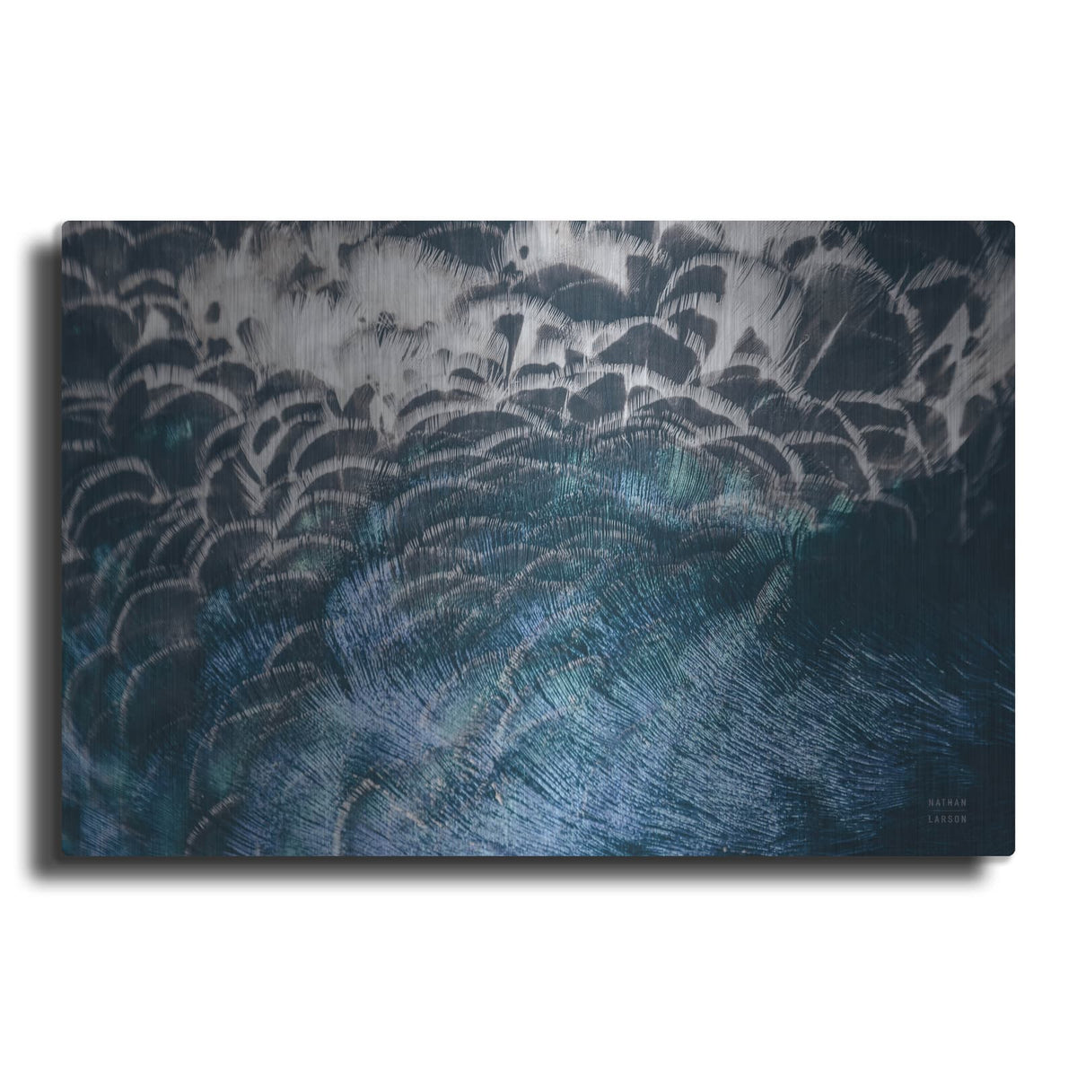'Peacock Study 2 Horizontal' by Nathan Larson – Metal Wall Art