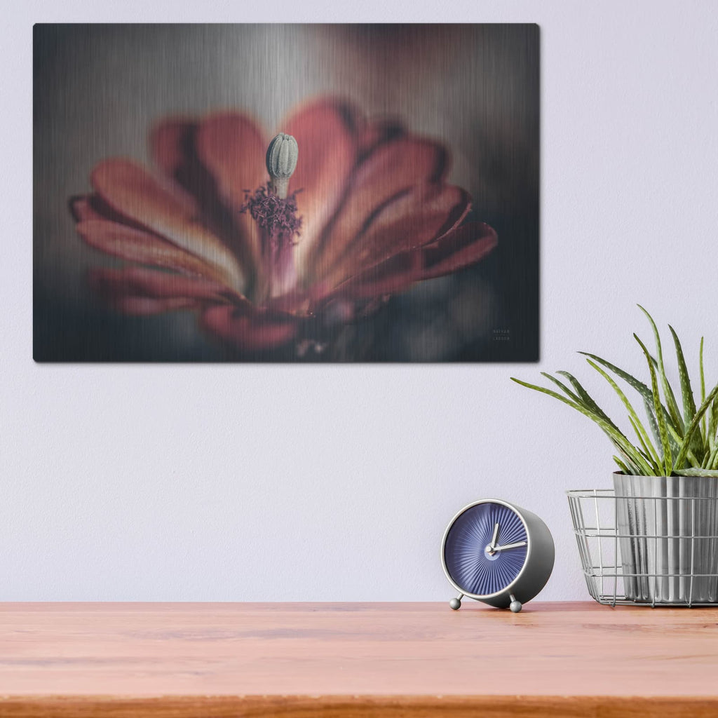 'Elevation Bloom' by Nathan Larson – Metal Wall Art, 16x12 room view