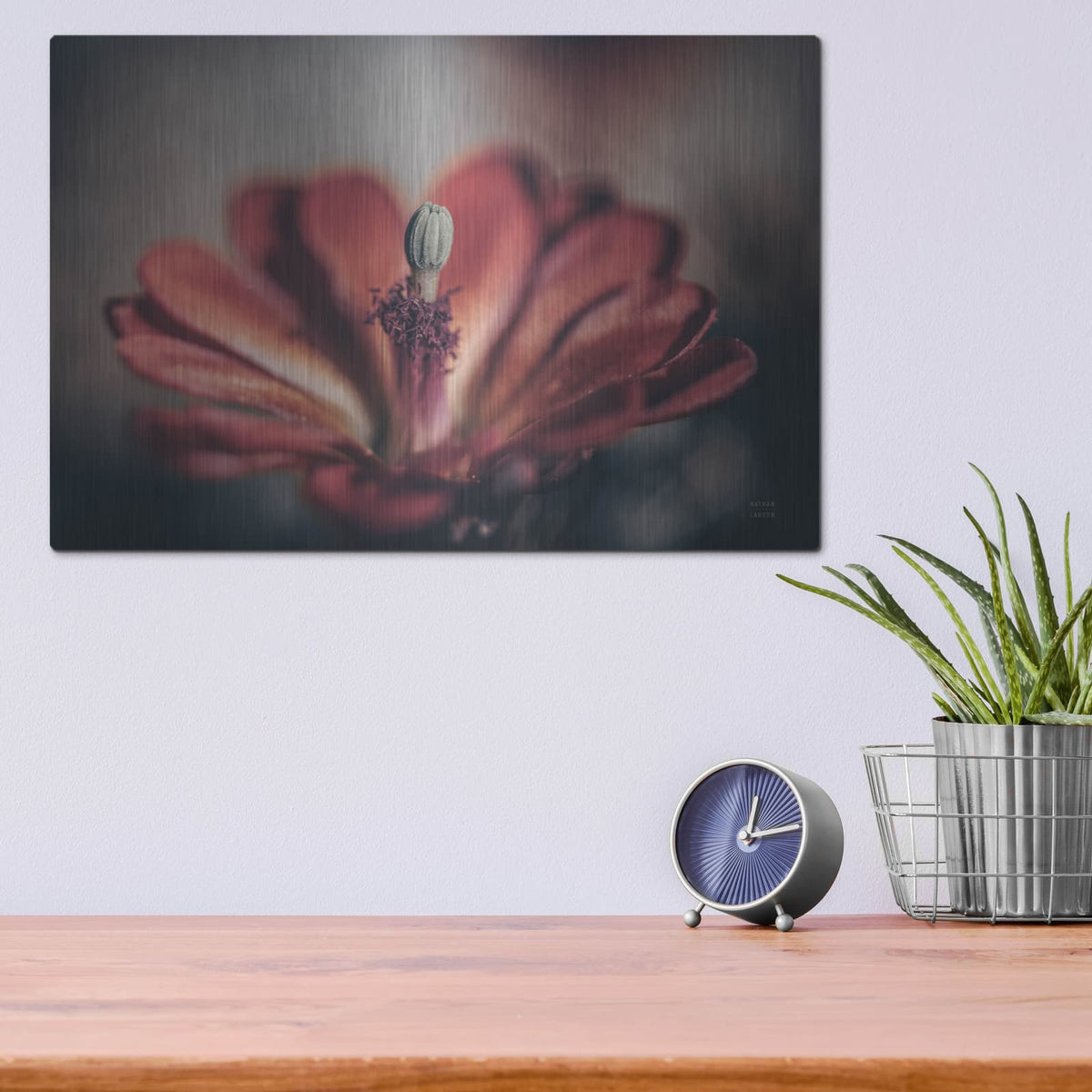 'Elevation Bloom' by Nathan Larson – Metal Wall Art, 16x12 room view