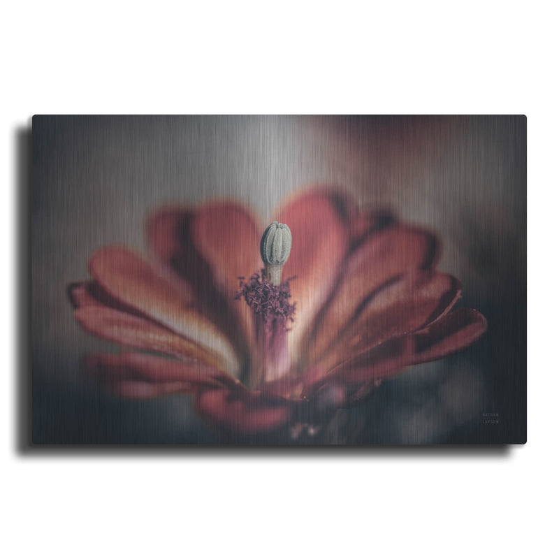 'Elevation Bloom' by Nathan Larson – Metal Wall Art
