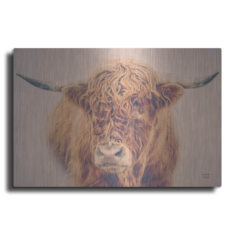 'Highland In The Winter Fog' by Nathan Larson – Metal Wall Art