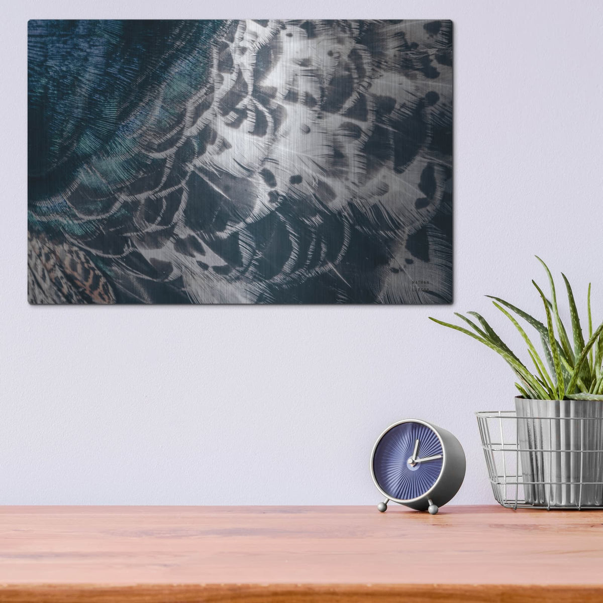 'Peacock Study 1 Horizontal' by Nathan Larson – Metal Wall Art, 16x12 room view