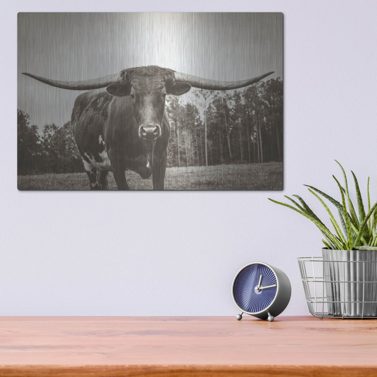 'Longhorn Pastures Sepia' by Nathan Larson – Metal Wall Art, 16x12 room view