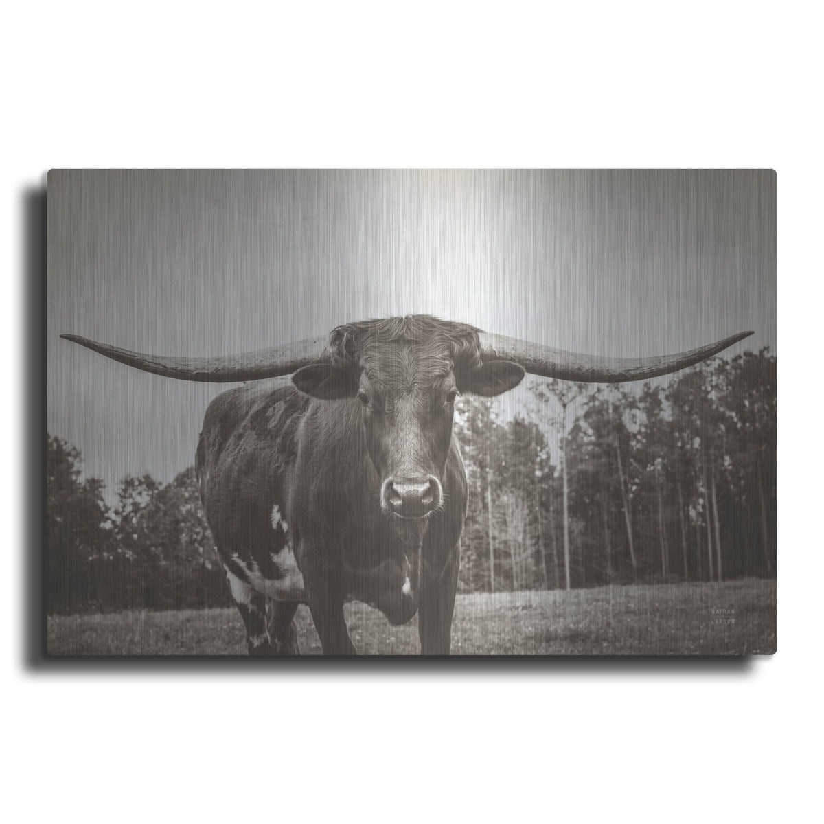 'Longhorn Pastures Sepia' by Nathan Larson – Metal Wall Art