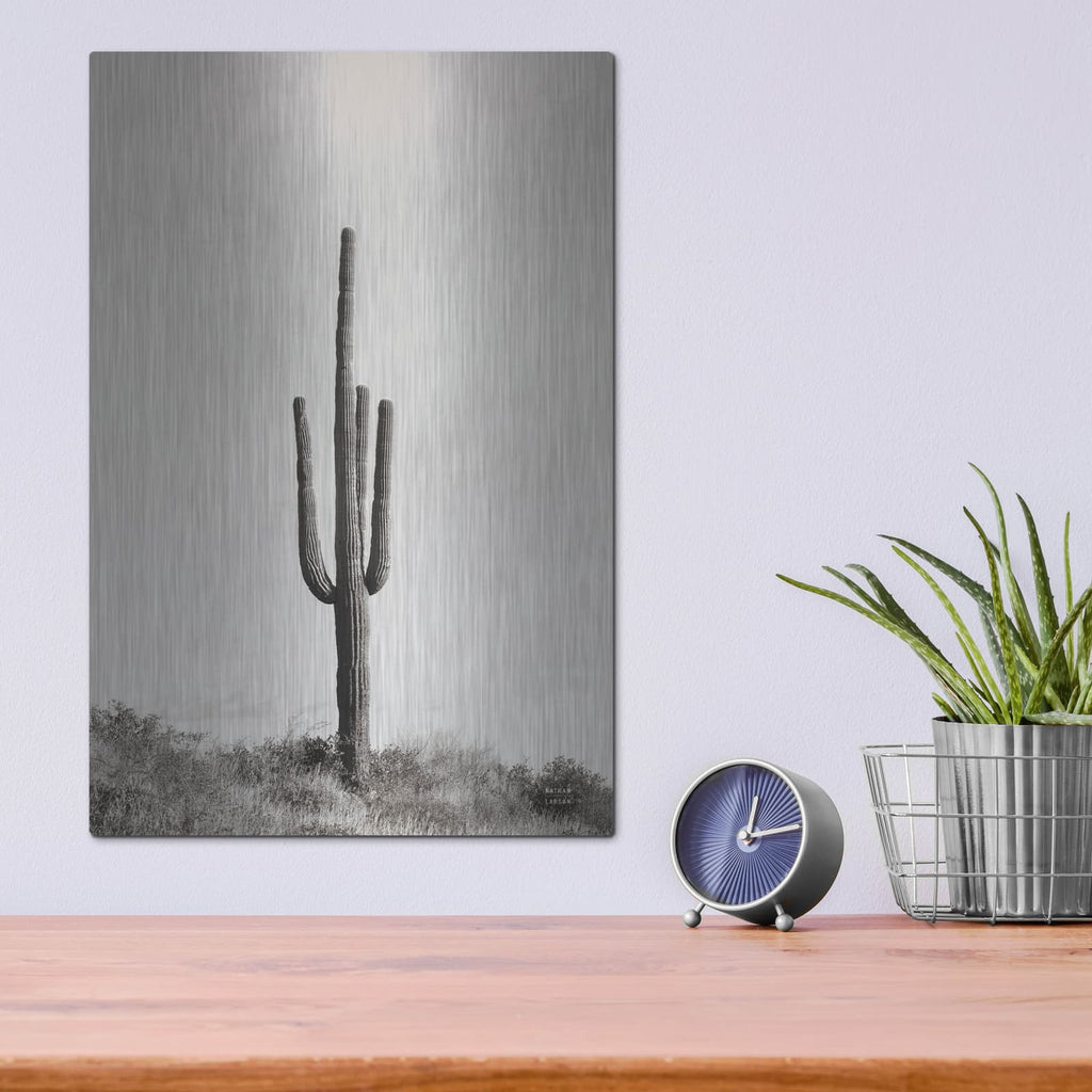'Saguaro Afternoon' by Nathan Larson – Metal Wall Art, 12x16 room view